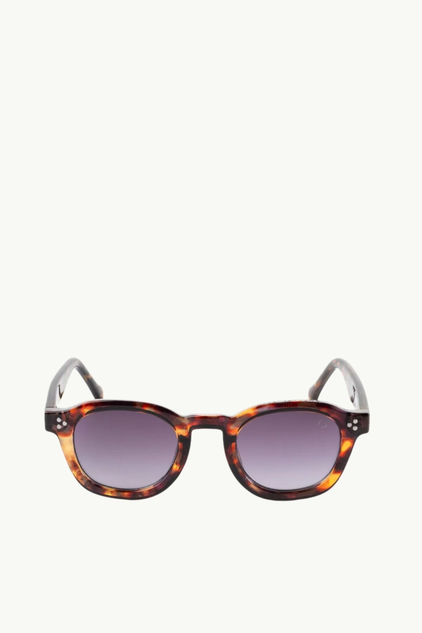  Coccosquare Occhiali Da Sole Unisex Marrone - 2