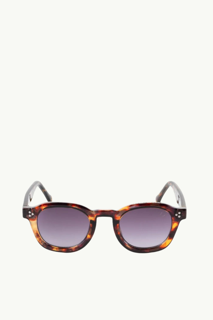 Coccosquare Unisex Sunglasses