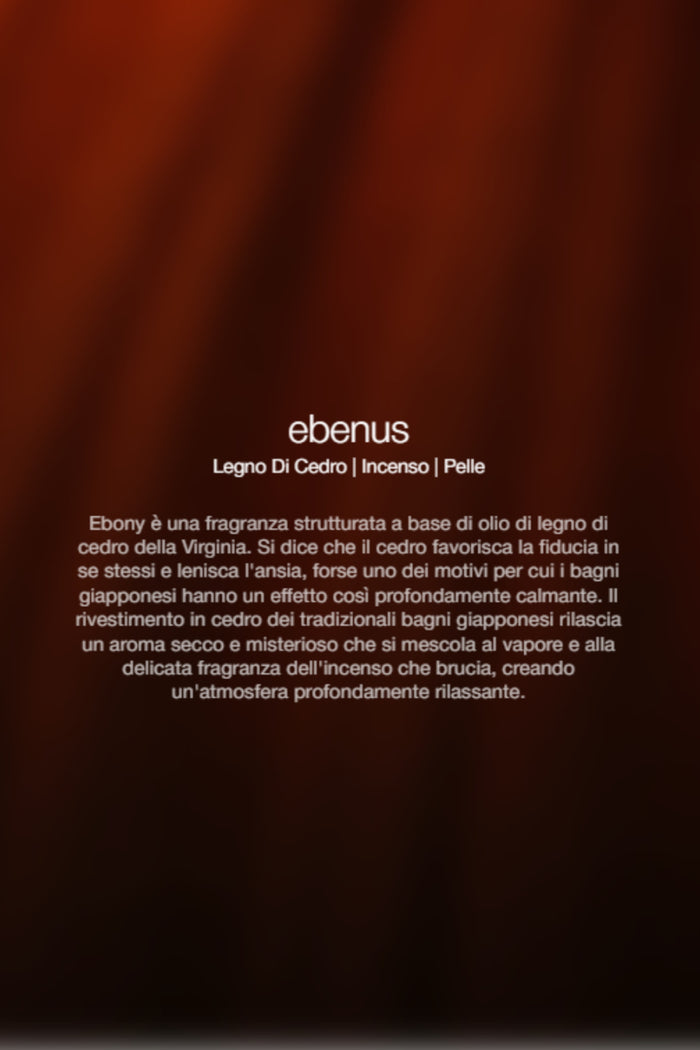 Spray Ambienti Ebenus 1Lt Unisex Zenology-2