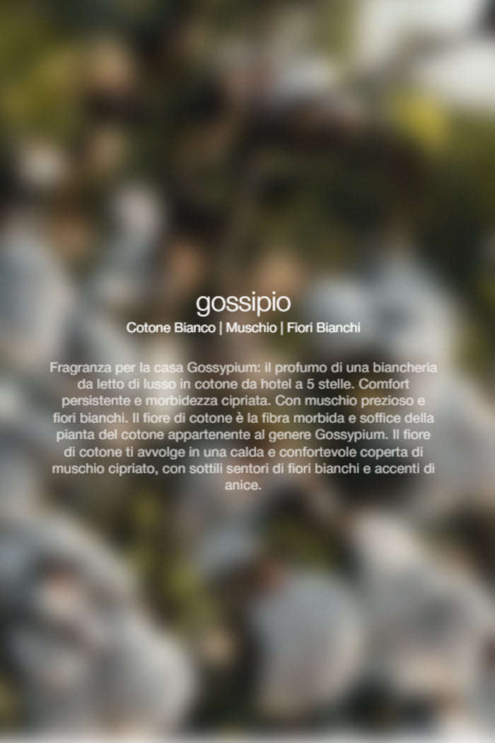 Spray Ambienti Gossypium 300Ml Unisex Zenology-2