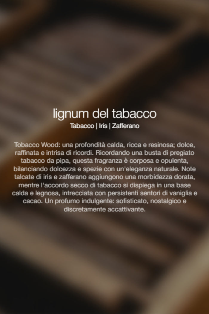 Spray Ambienti Tobacco Lignum 300Ml Unisex Zenology-2