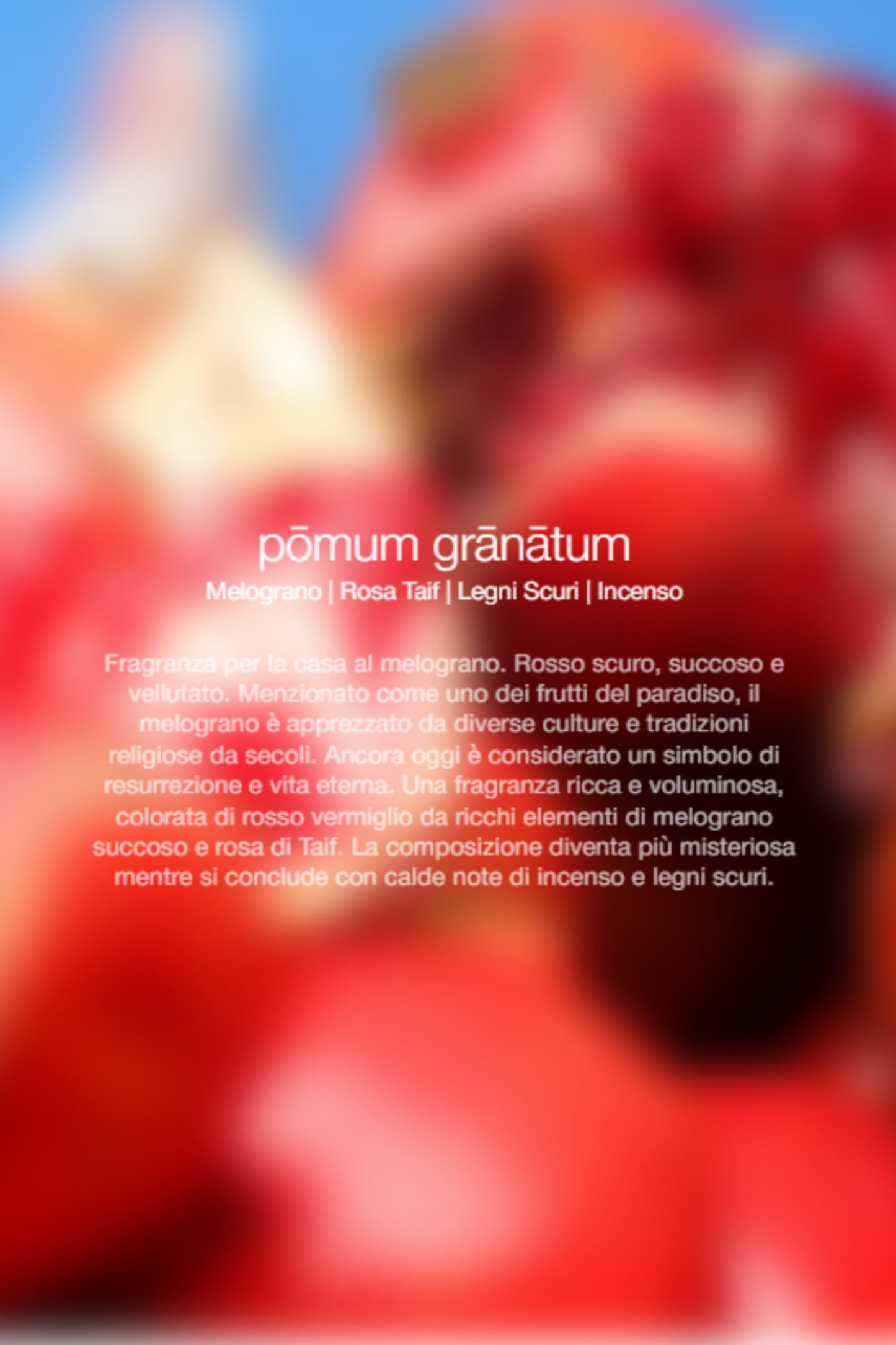  Zenology Pomum Granatum Room Spray 300 Ml Unisex - 2