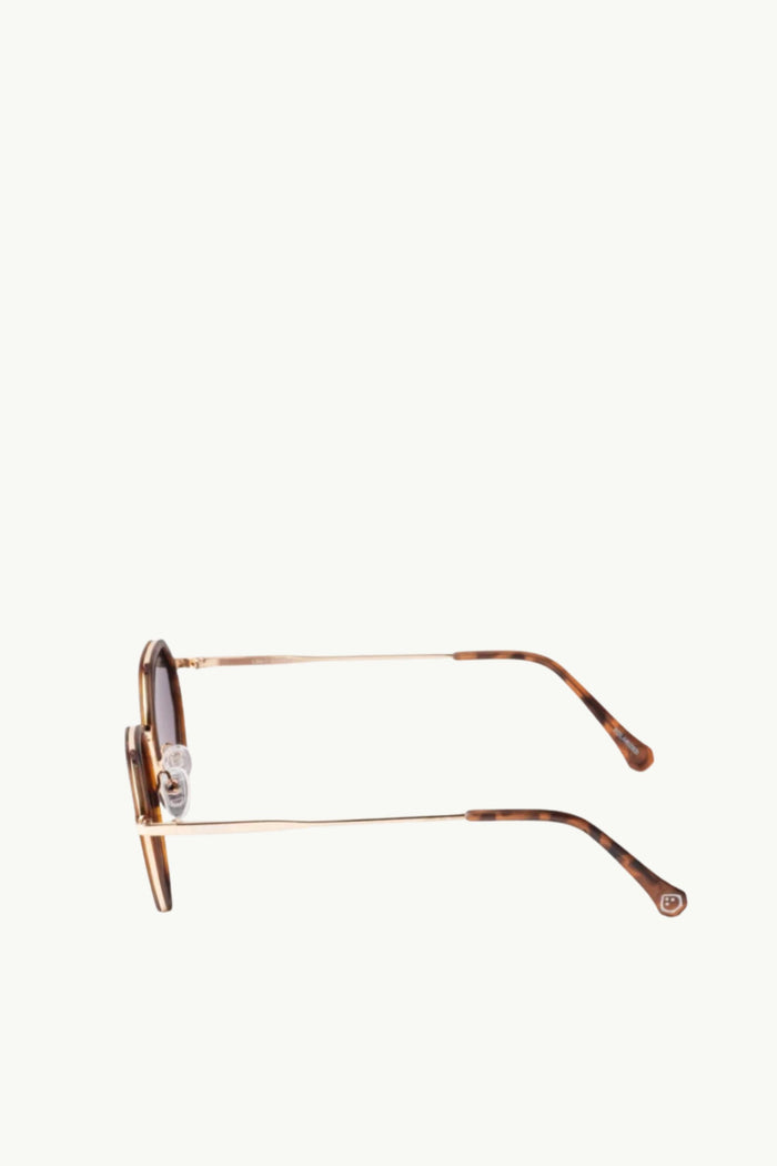  Coccosquare Unisex Polarized Sunglasses Marrone - 3