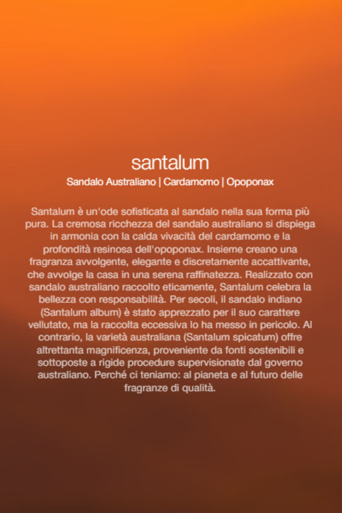 Spray Ambienti Santalum 300Ml Unisex Zenology-2