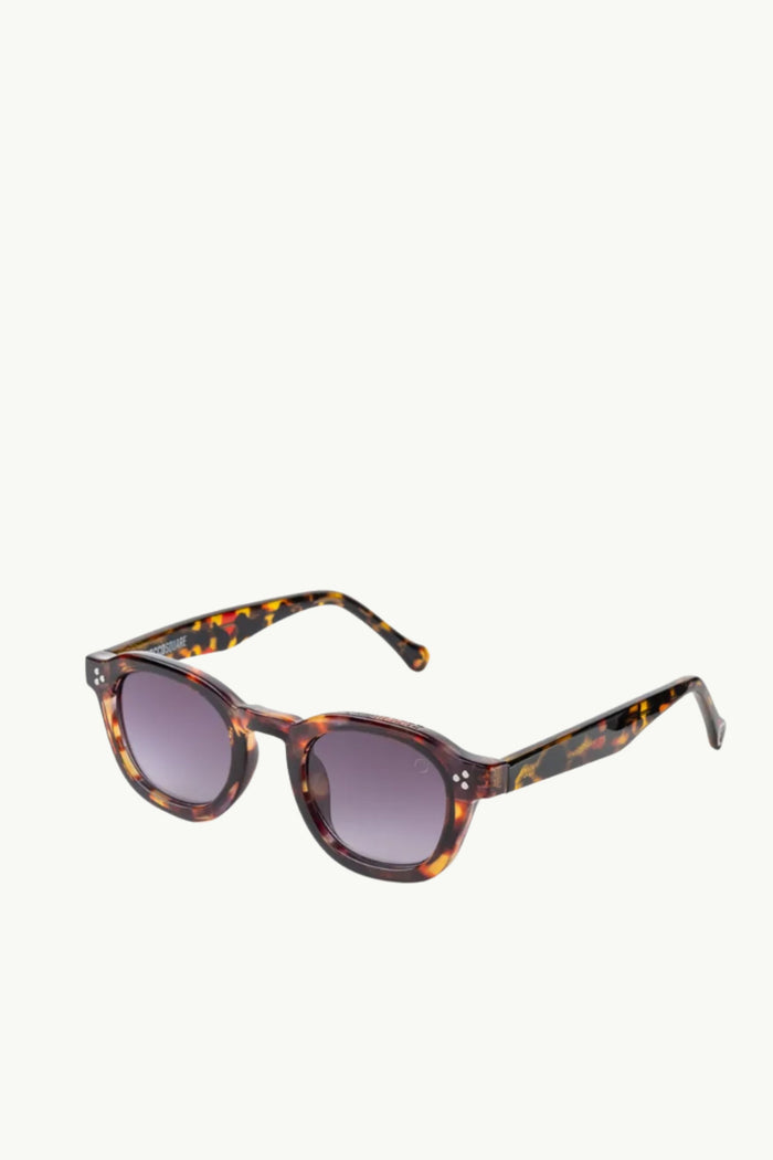  Coccosquare Occhiali Da Sole Unisex Marrone - 3