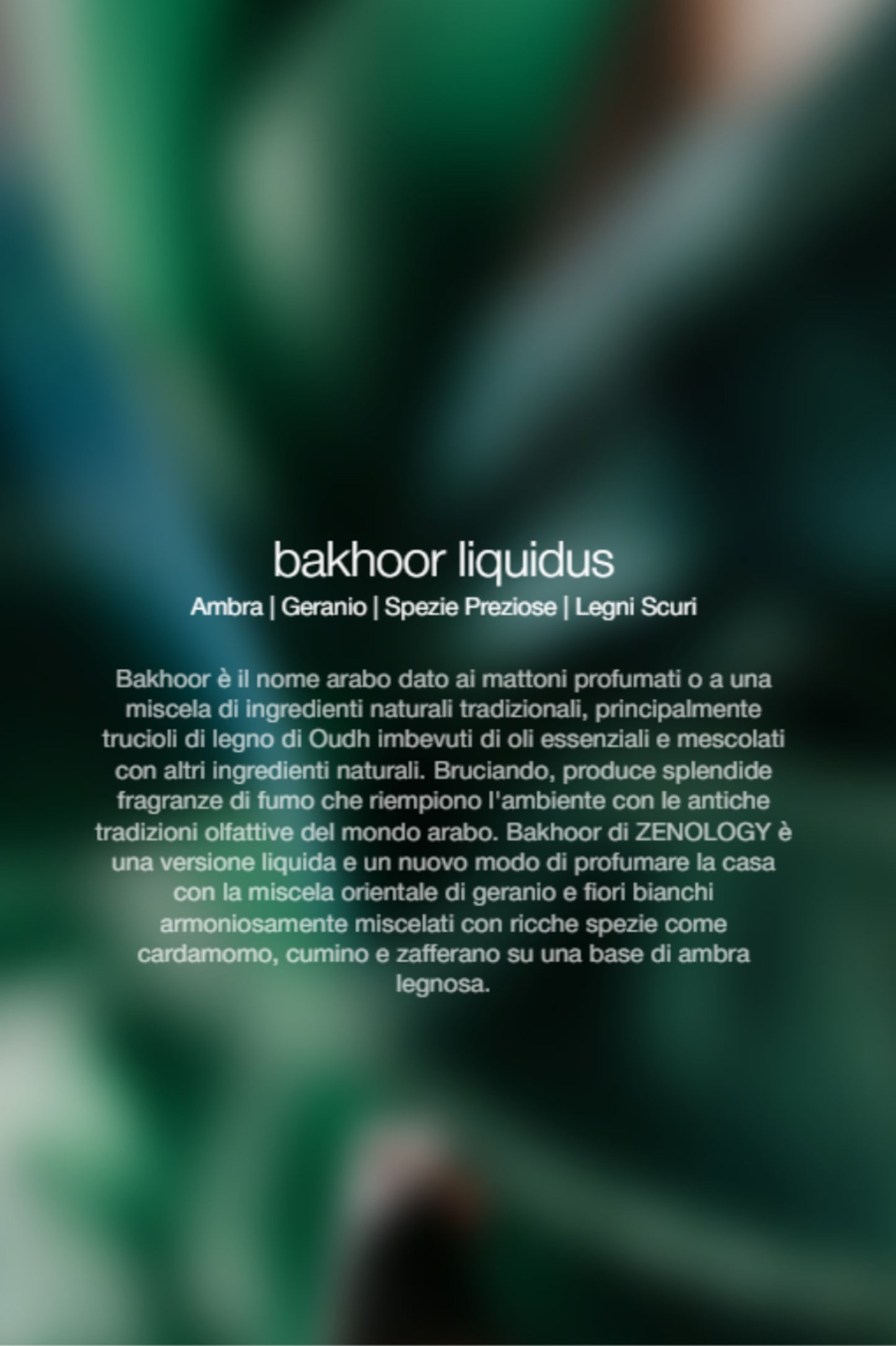  Zenology Spray Ambienti Bakhoor Liquidus 1 Lt Unisex - 2