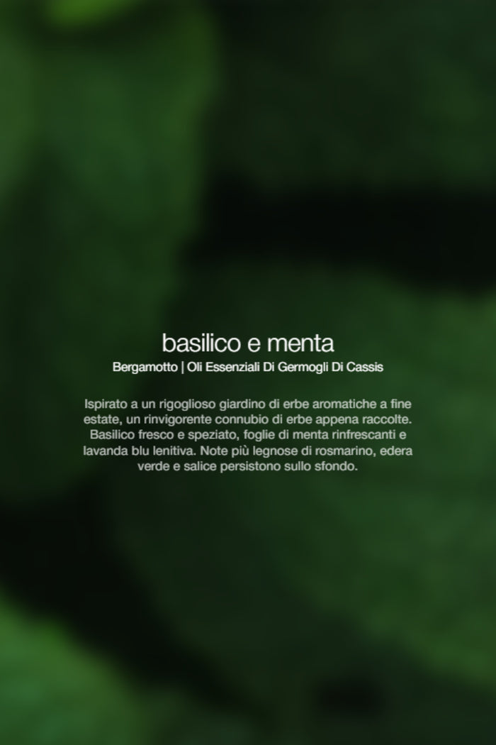 Hand And Bady Serum Basil Mint Unisex Zenology-2