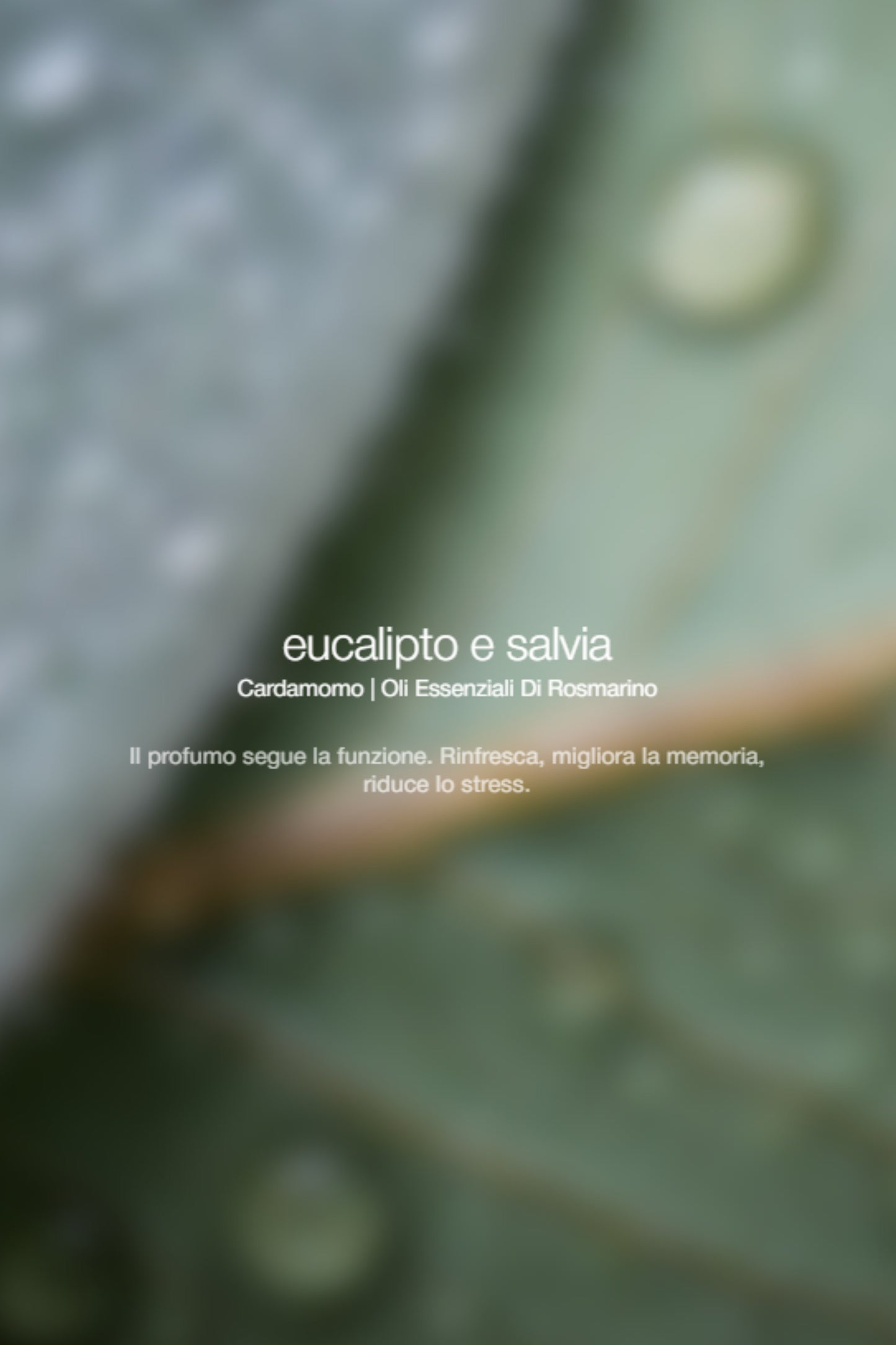  Zenology Exfolianting Wash Eucalyptus Sage Unisex - 2