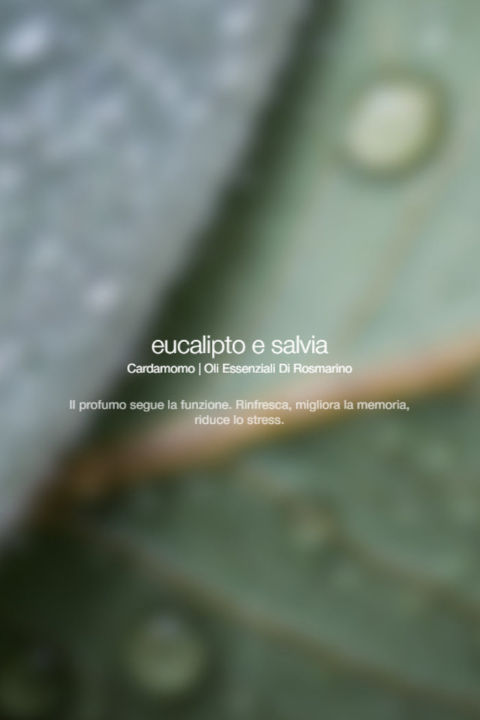 Exfolianting Wash Eucalyptus Sage Unisex Zenology-2