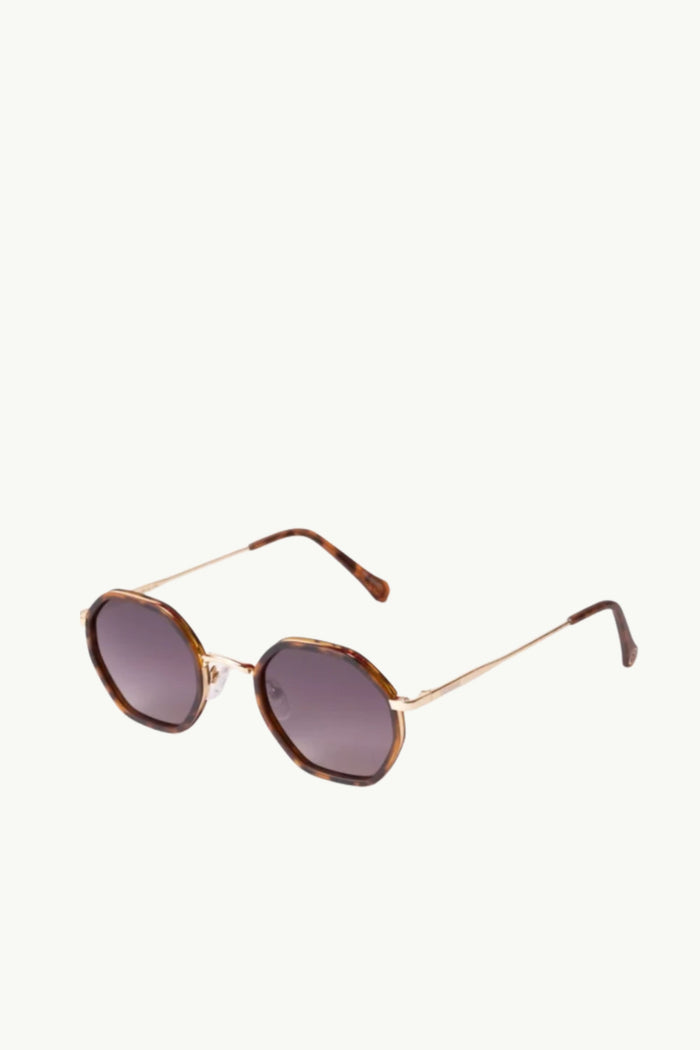  Coccosquare Occhiali Da Sole Lenti Polarizzate Unisex Marrone - 3